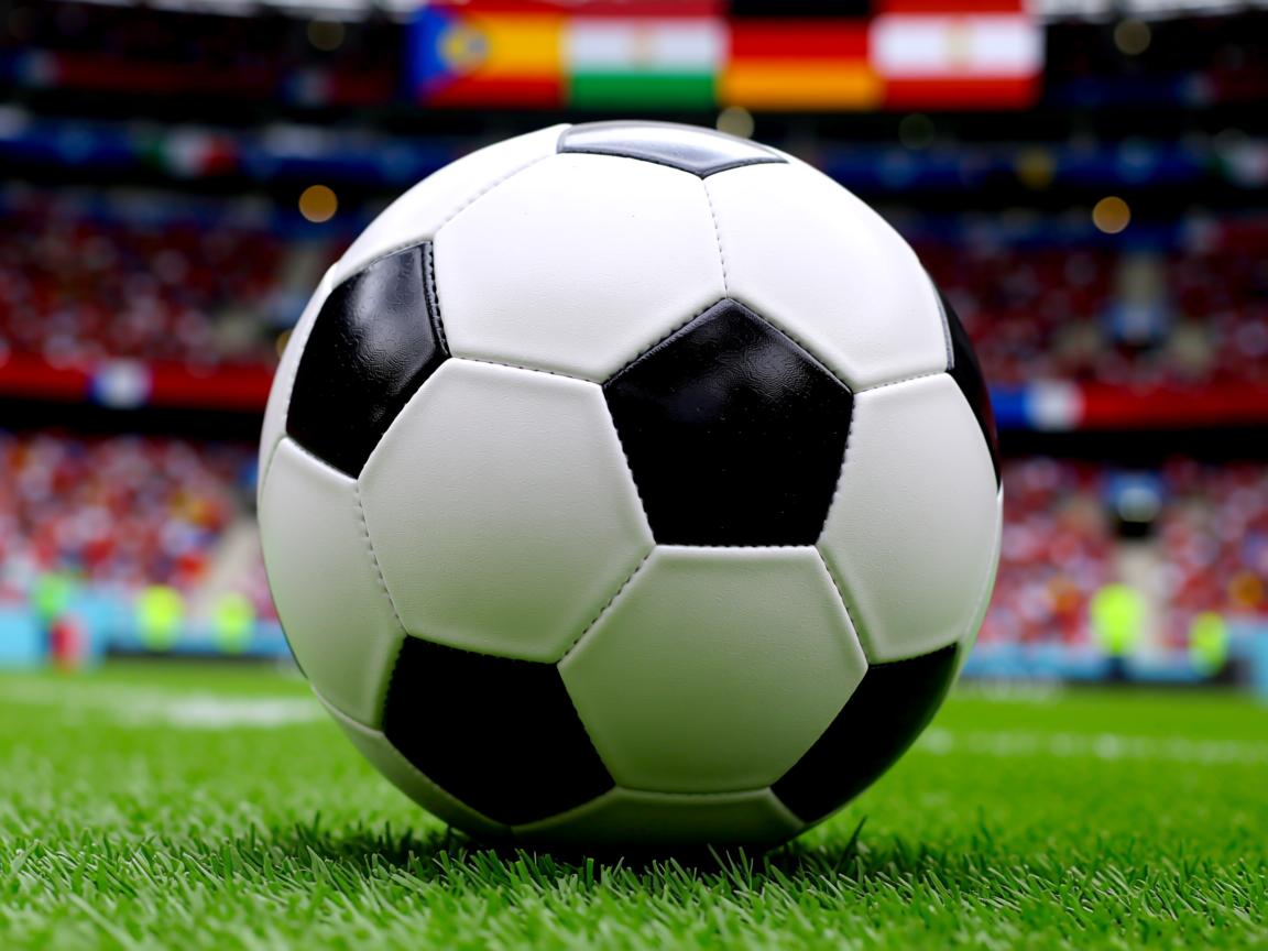 开云体育网址-悉尼新星亮相，立下豪言要冲击前八