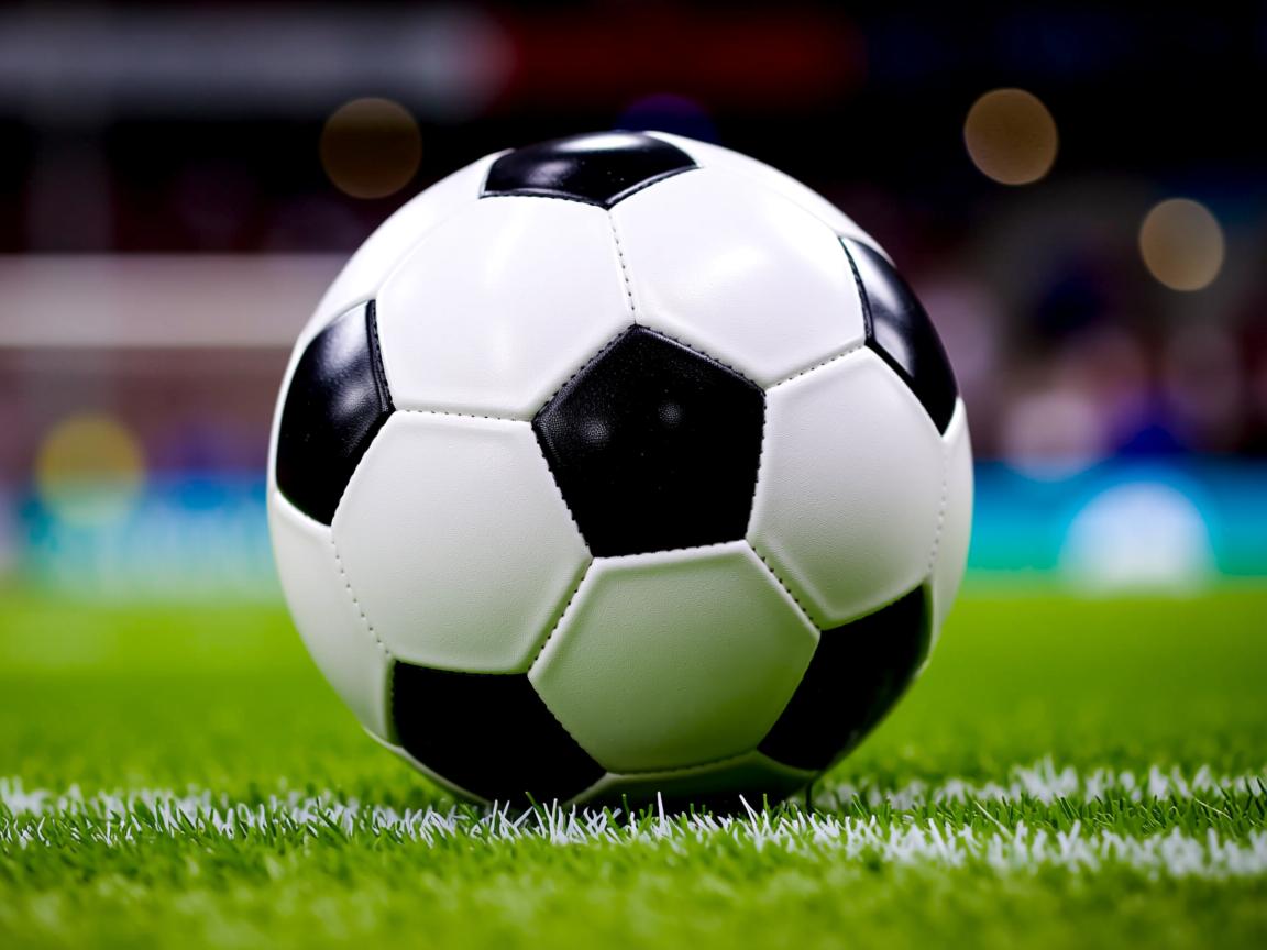 开云体育网址-悉尼新星亮相,立下豪言要冲击前八 第2张