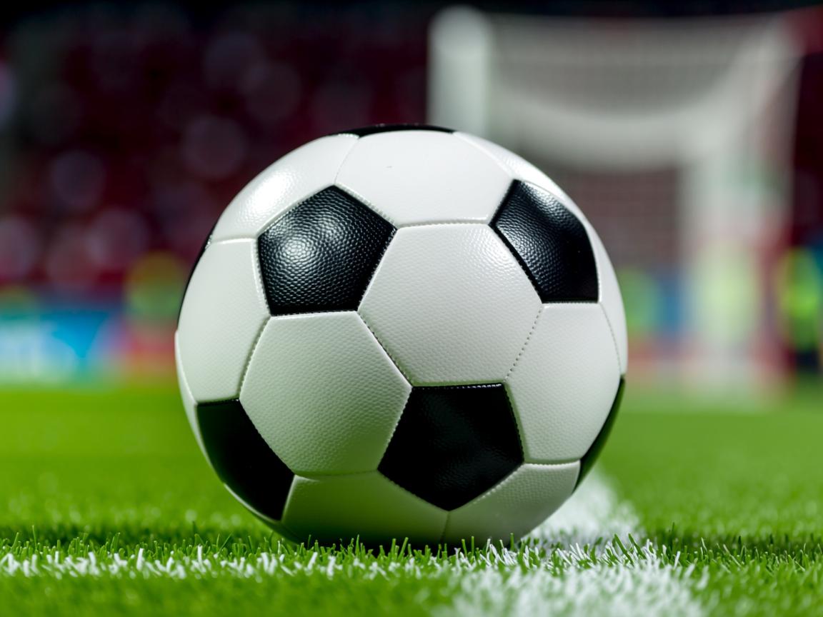 开云ky官网-大连精英全力求胜，斗志昂扬