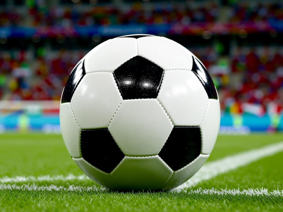 开运体育电脑版-“腰旗式美式橄榄球：东部新区赛场首次亮相”